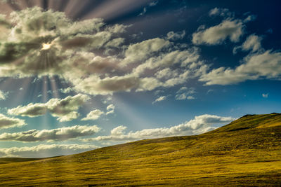 Scenic view of field against sky