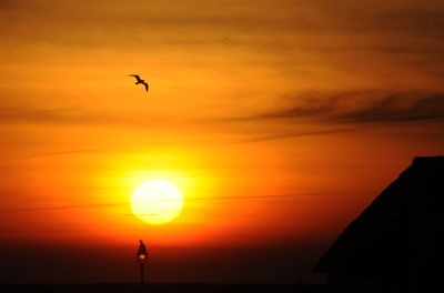 Silhouette bird flying in sky during sunset