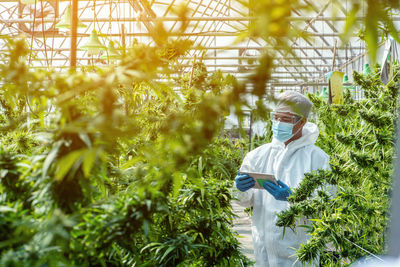 Portrait of man standing in greenhouse