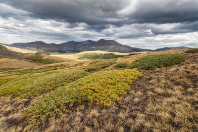 View of mount evans, colorado