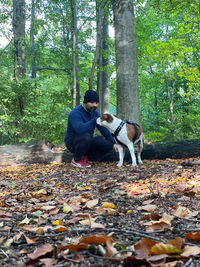 View of a dog in autumn leaves