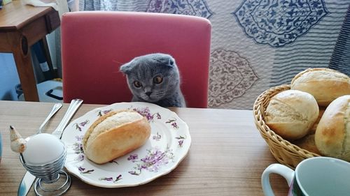 Cat on chair in front of breads on table