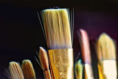 Close-up of paintbrushes against black background