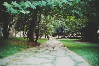 Narrow walkway in park