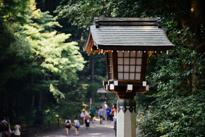 People outside temple by trees in city