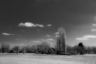Trees on field against sky during winter