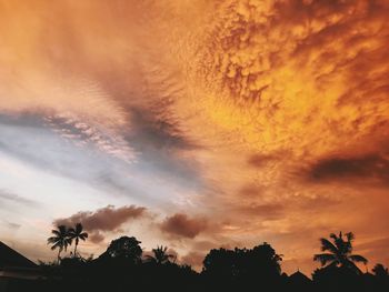 Low angle view of silhouette trees against orange sky