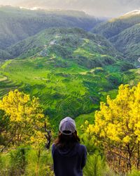 Rear view of woman looking at landscape