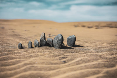 Close-up of wood on sand at beach against sky