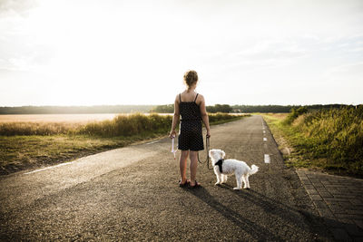 Girl with dog standing on rural road holding miniature wind turbine