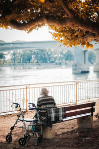 Rear view of man looking at river