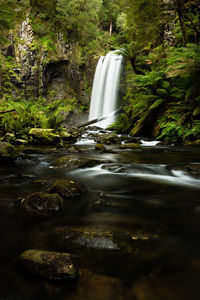 Waterfall in forest