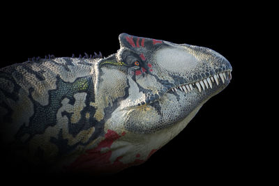 Close-up of white shoe against black background