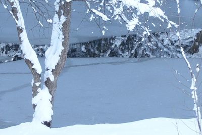 winter