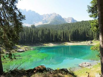 Scenic view of lake and mountains