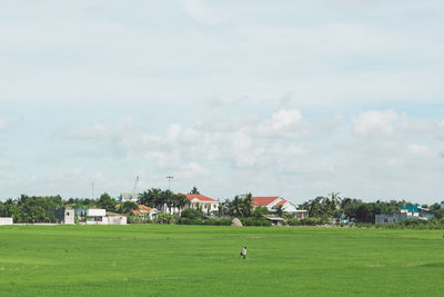 Houses on field against sky