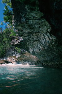 Scenic view of sea against trees