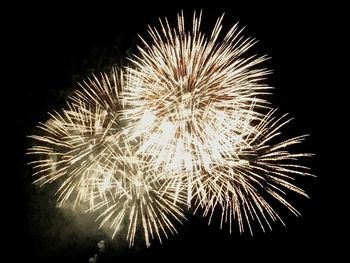 Low angle view of firework display against sky at night