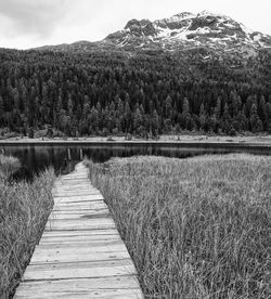 Boardwalk leading towards lake against sky