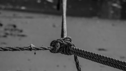 Close-up of tied ropes