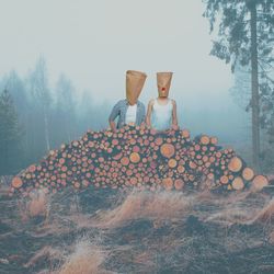 Stack of logs against trees