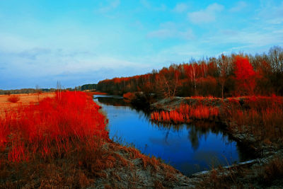 Scenic view of lake against sky during autumn