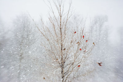 Close-up of snow