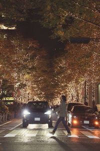 Illuminated street light at night