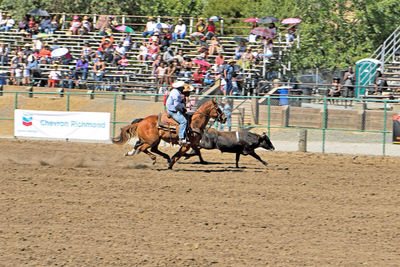 Men riding horse on sand