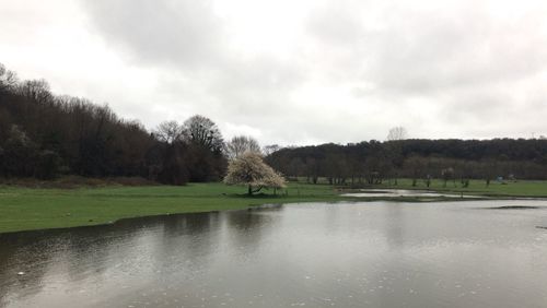 Scenic view of lake against sky