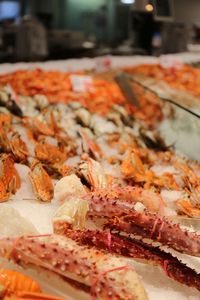 Close-up of seafood for sale