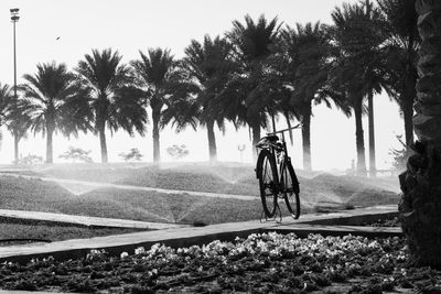Bicycle on palm trees against clear sky