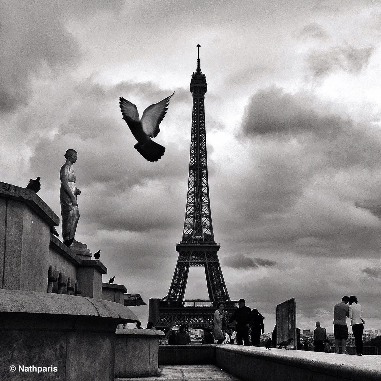 sky, architecture, built structure, famous place, cloud - sky, eiffel tower, building exterior, tower, travel destinations, international landmark, tourism, capital cities, tall - high, cloudy, travel, low angle view, bird, city, history, cloud