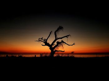 Silhouette trees on field against sky during sunset