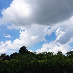 Low angle view of trees against cloudy sky