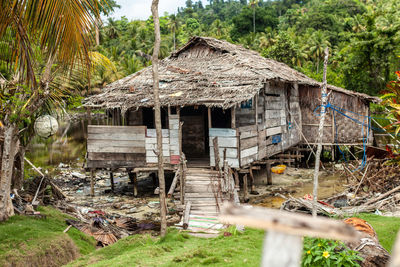 Built structure in forest