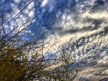 Low angle view of bare trees against cloudy sky