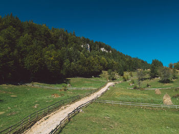 Scenic view of trees on field against clear blue sky