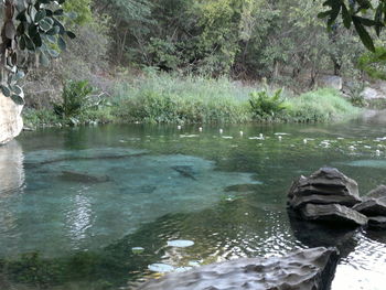 Scenic view of waterfall in park