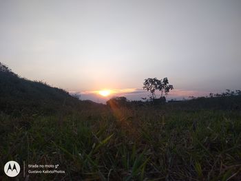 Scenic view of field against sky during sunset