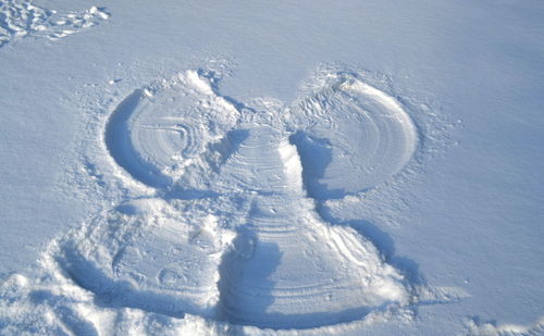 High angle view of frozen ice