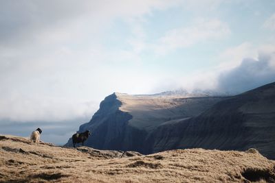 Scenic view of mountain against sky