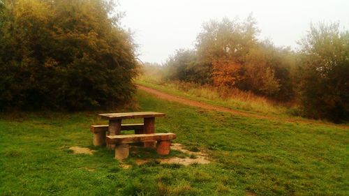 Trees on field against sky