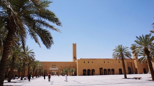 Palm trees and buildings against clear blue sky