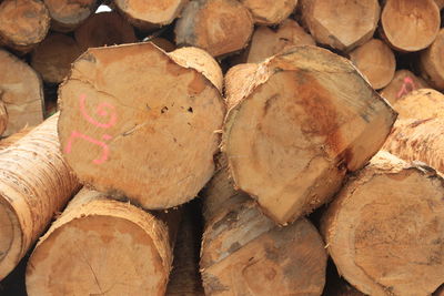 Full frame shot of logs in forest