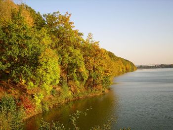 Scenic view of trees against clear sky during autumn