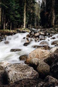 Stream flowing through rocks in forest