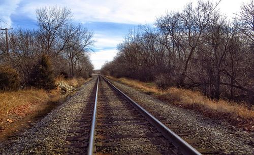 Railroad track passing through trees