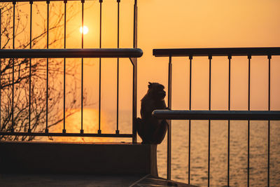 Silhouette people sitting by railing against orange sky