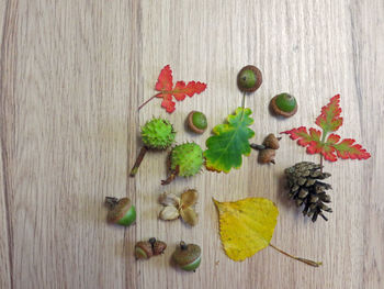 High angle view of fruits on table